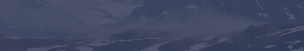 norsknettcasinoguide-banner